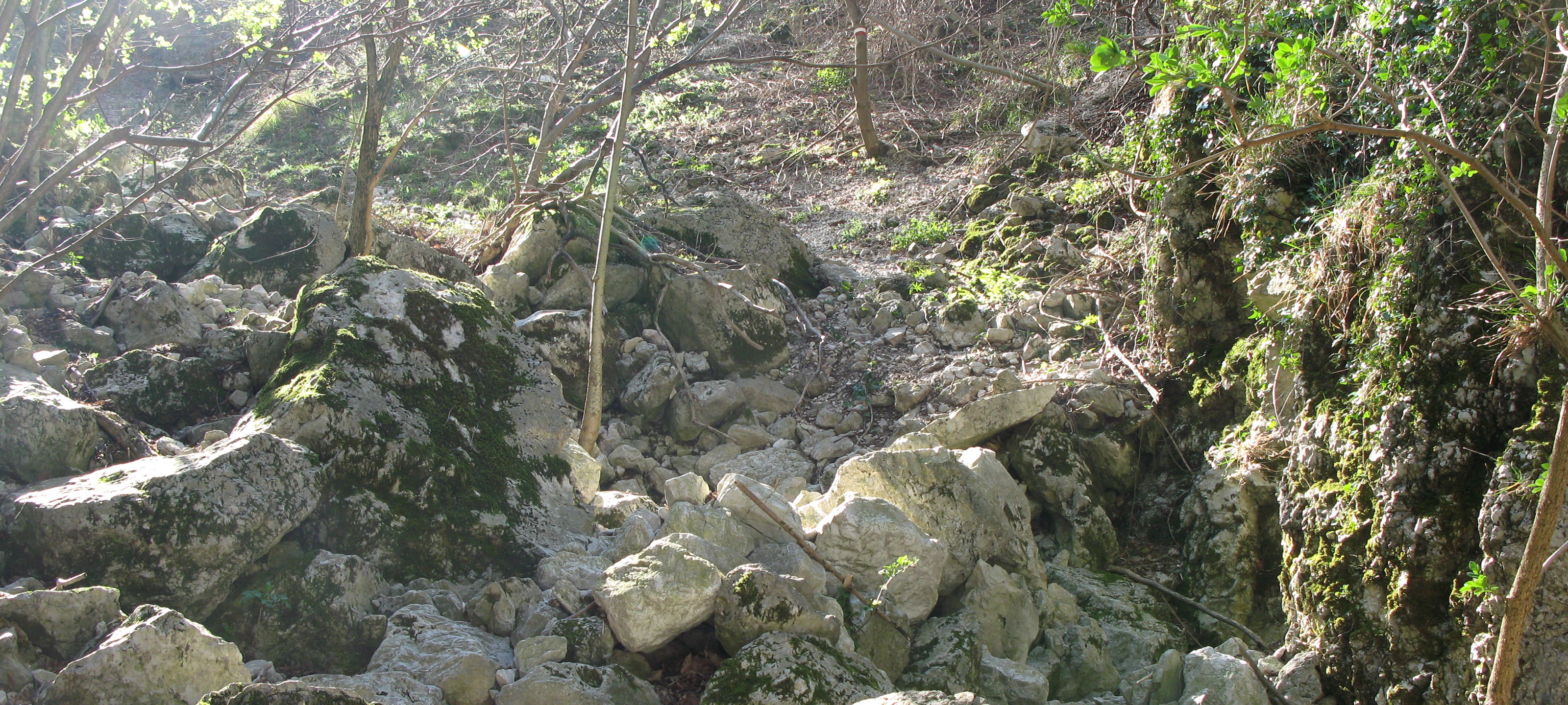 Monte Catria Sentiero Flò - immagine 5
