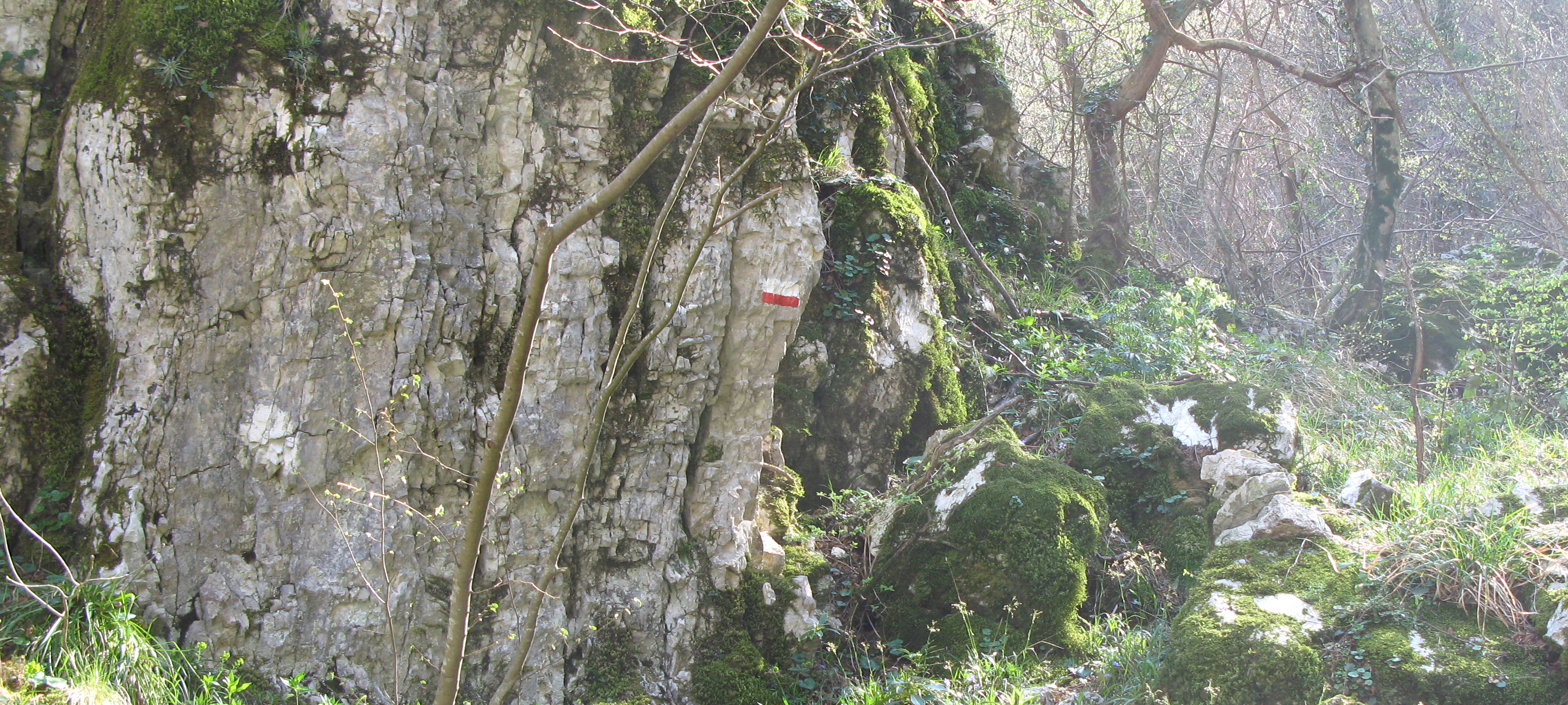 Monte Catria Sentiero Flò - immagine 6