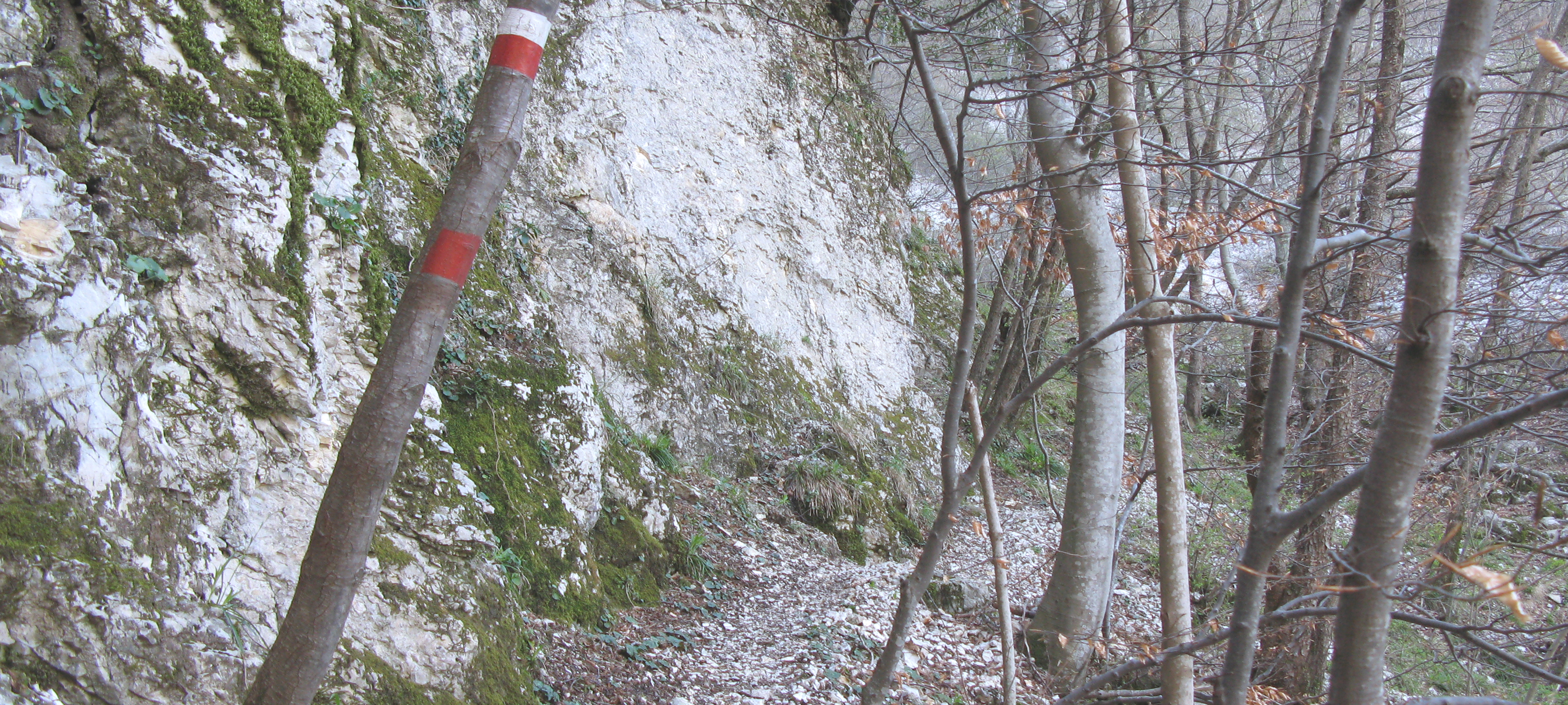 Monte Catria Sentiero Flò - immagine 7