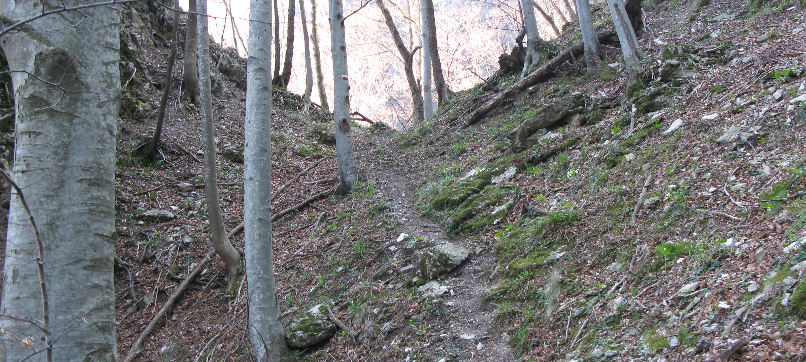 Monte Catria Sentiero Flò - immagine 8
