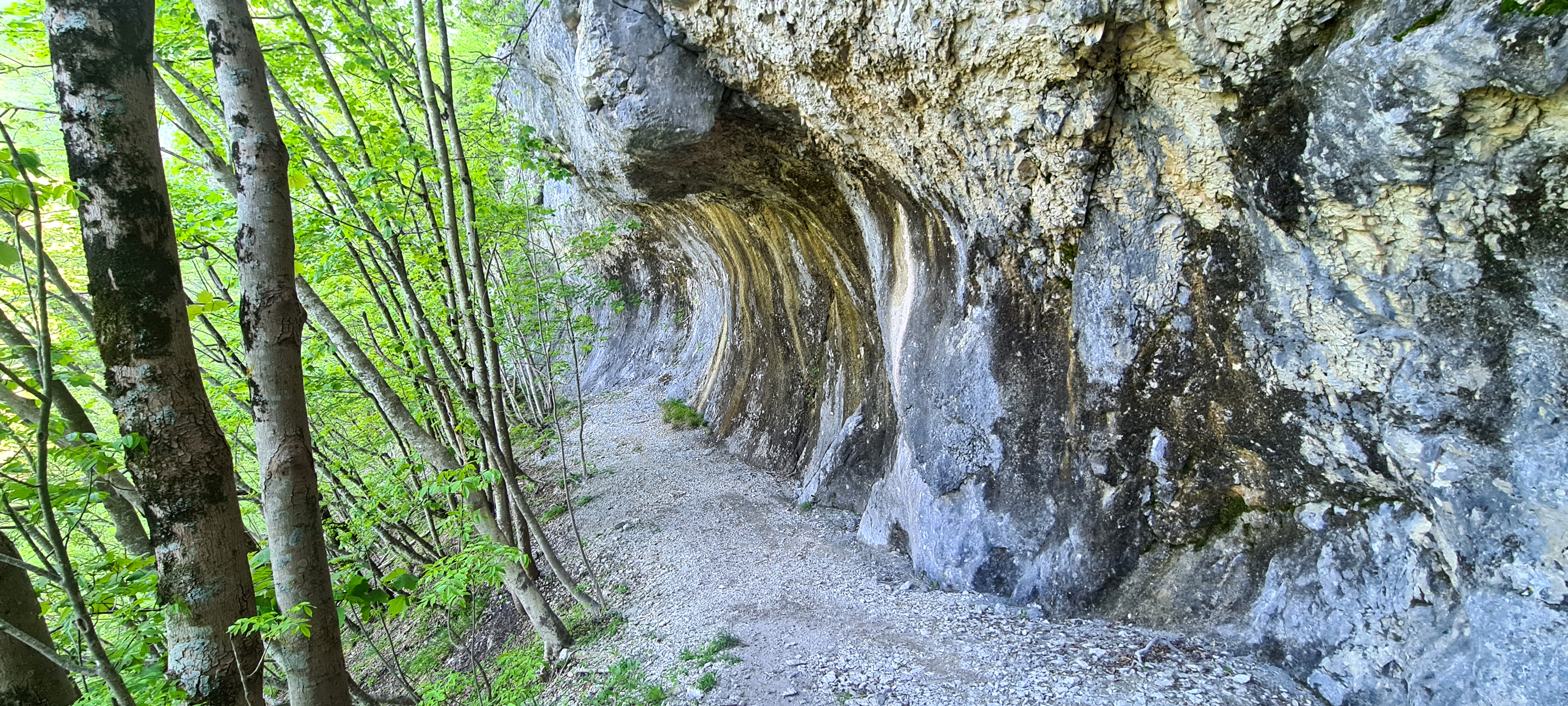 Monte Catria Sentiero Flò - immagine 9 (Grotta dei Ciambotti)