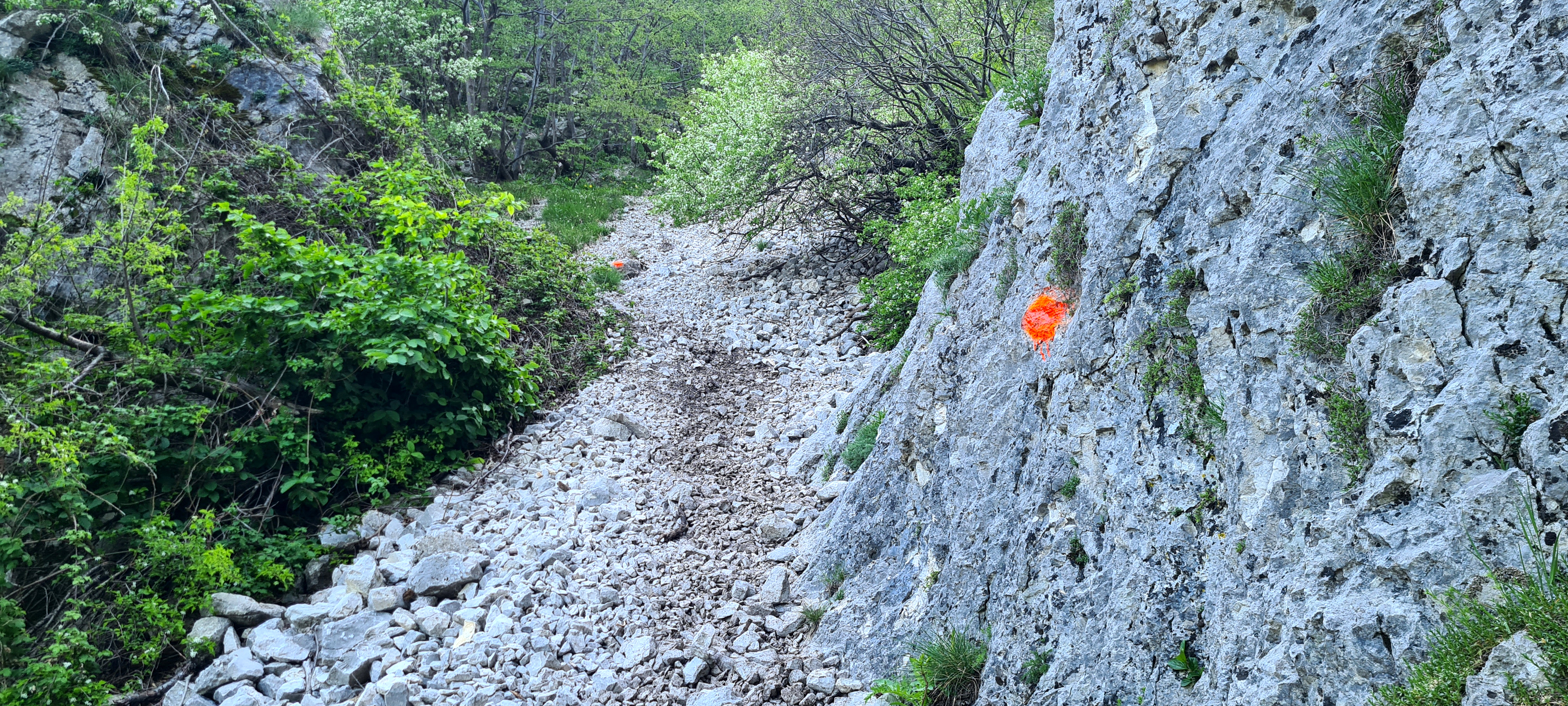 Monte Catria Sentiero Flò - immagine 11