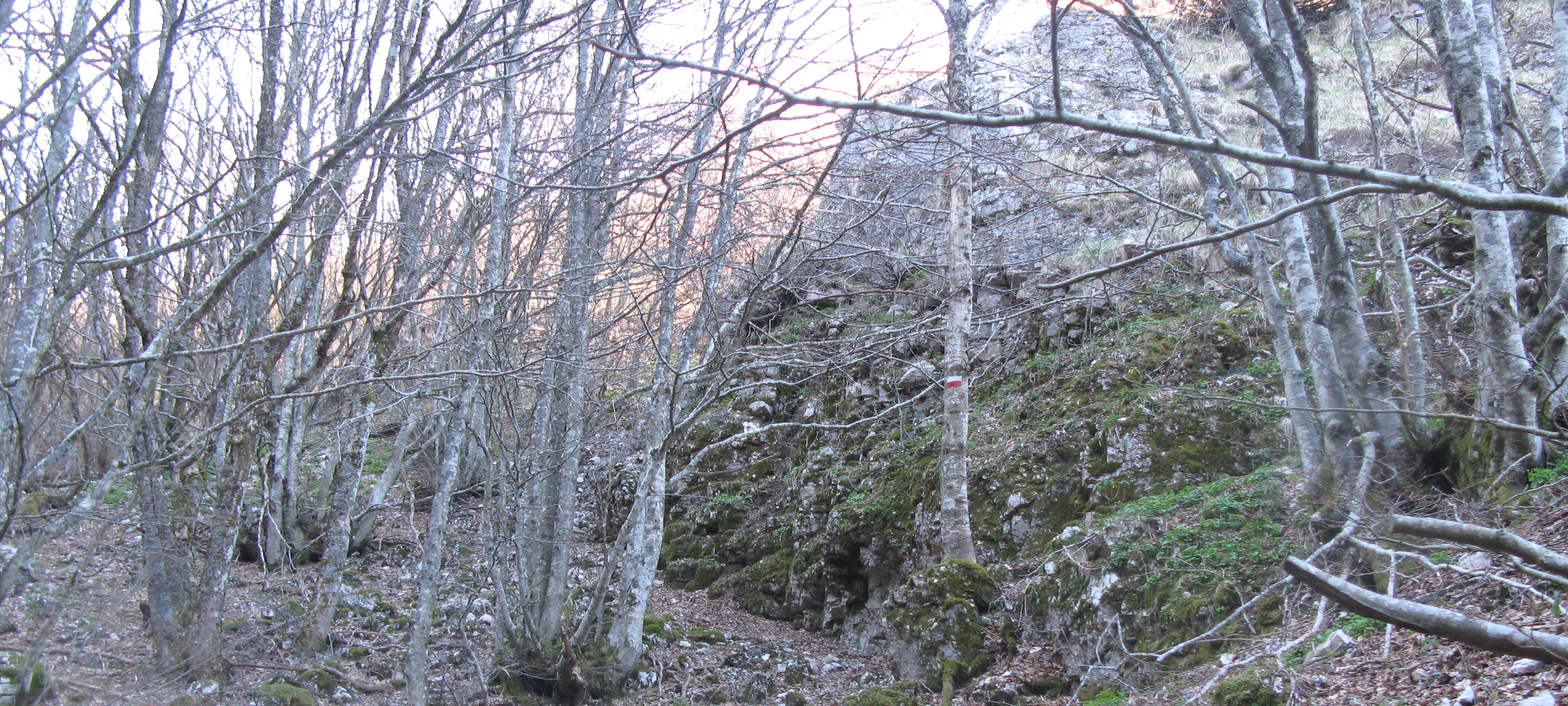 Monte Catria Sentiero Flò - immagine 14