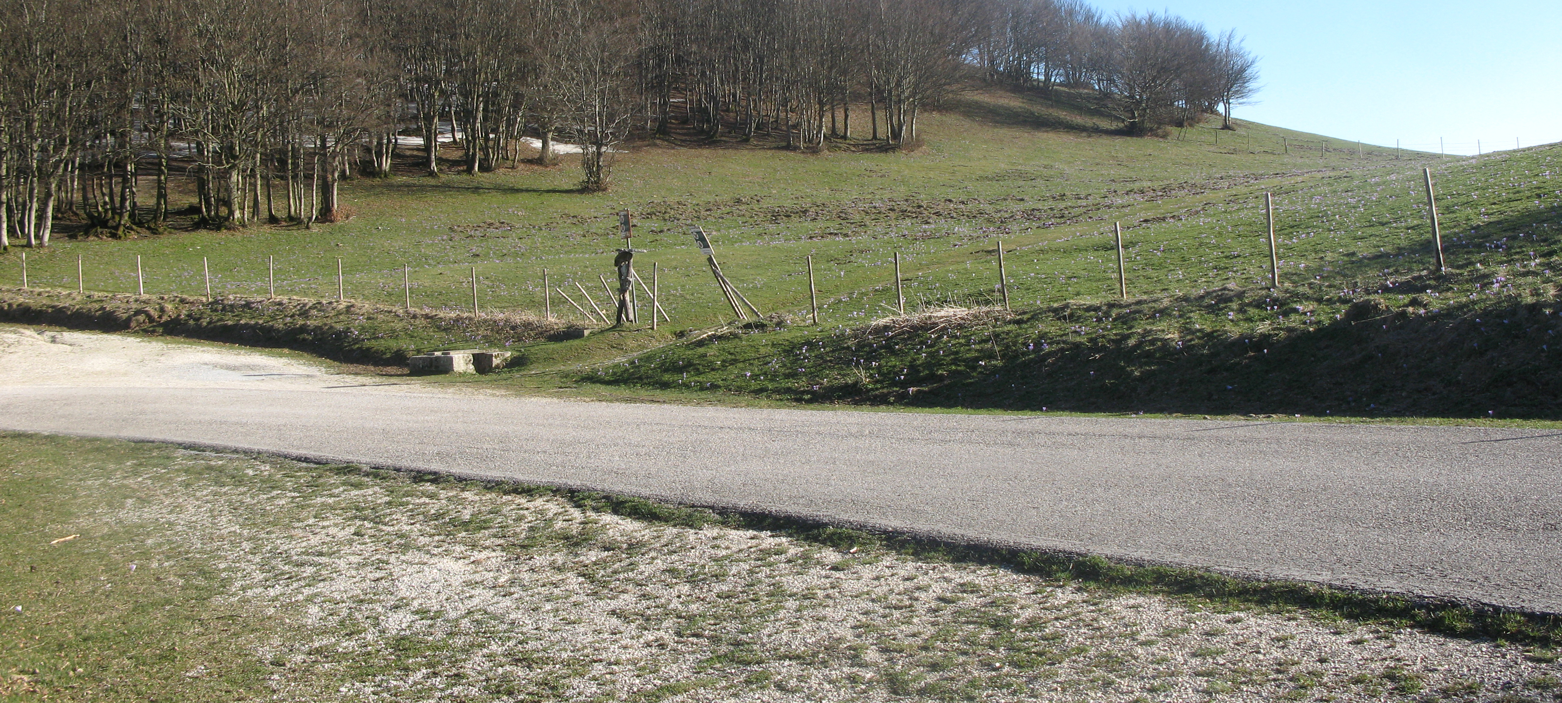 Monte Catria Sentiero Flò - immagine 15