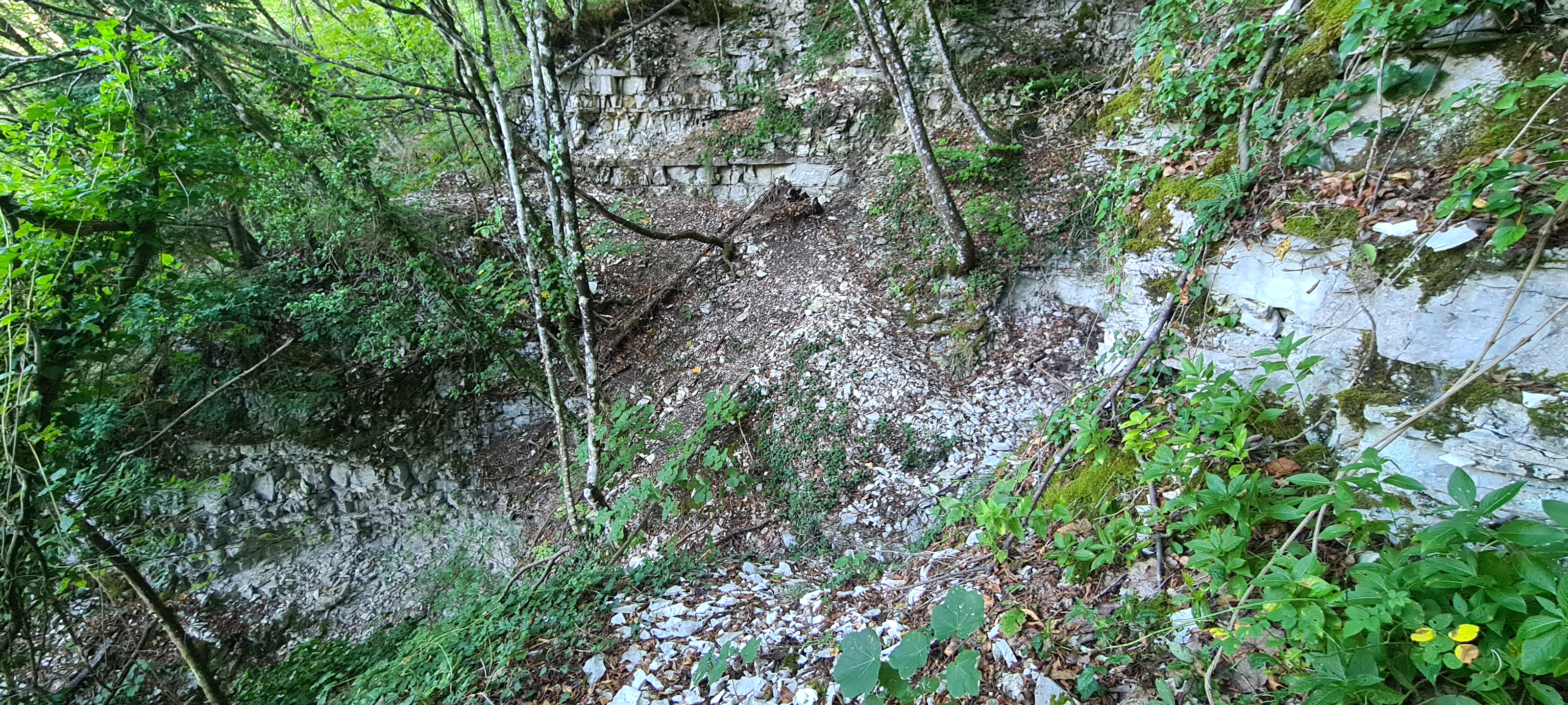 Monte Catria Sentiero Frassati - immagine 3