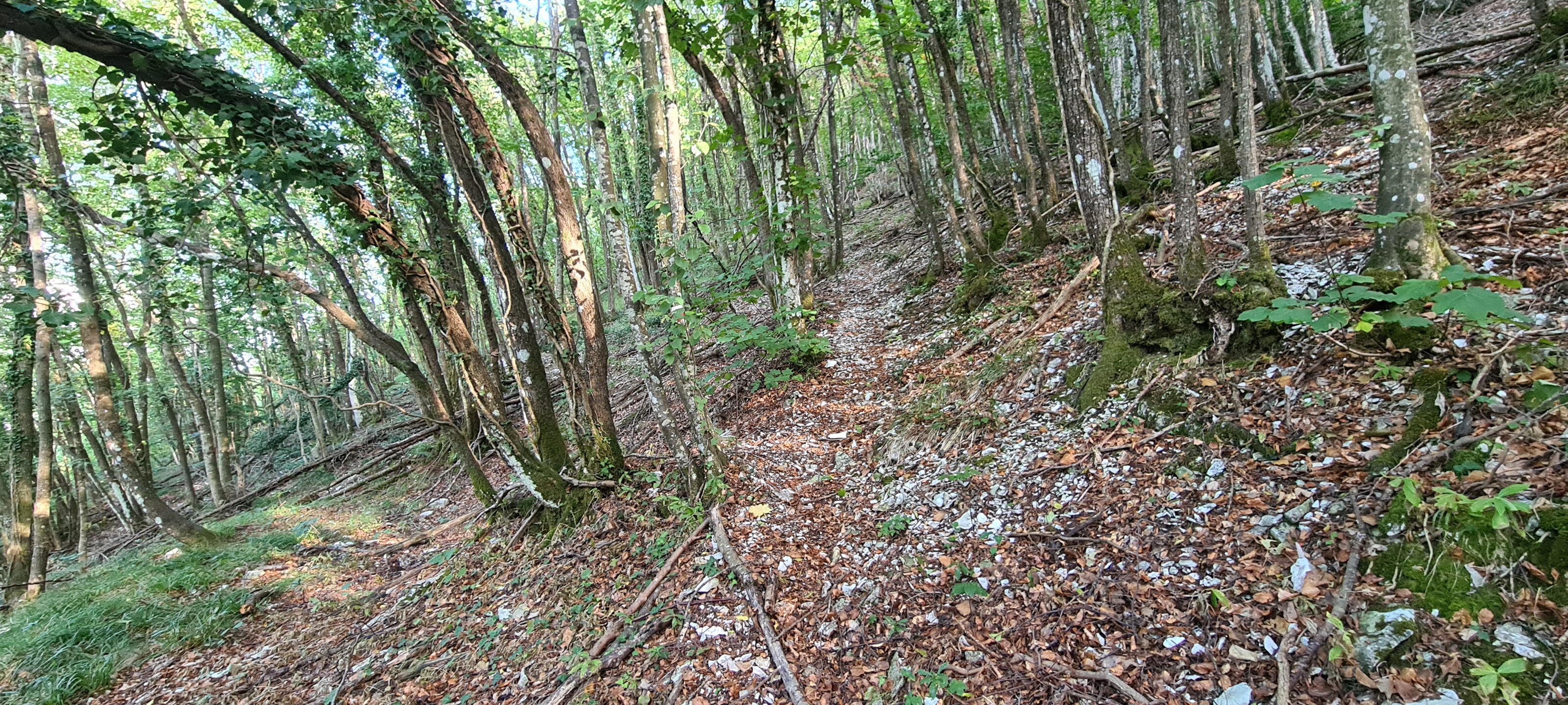 Monte Catria Sentiero Frassati - immagine 4