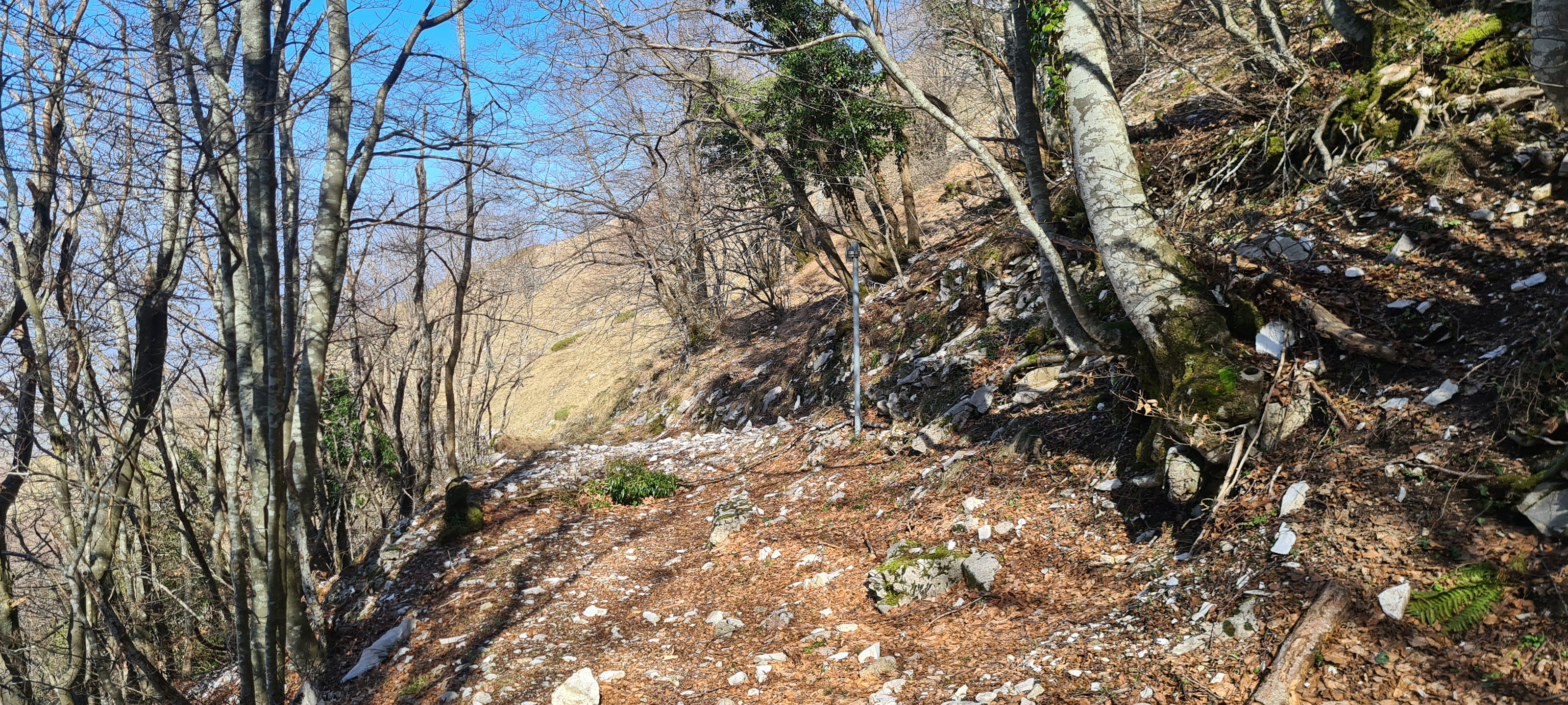 Monte Catria Sentiero Frassati - immagine 7