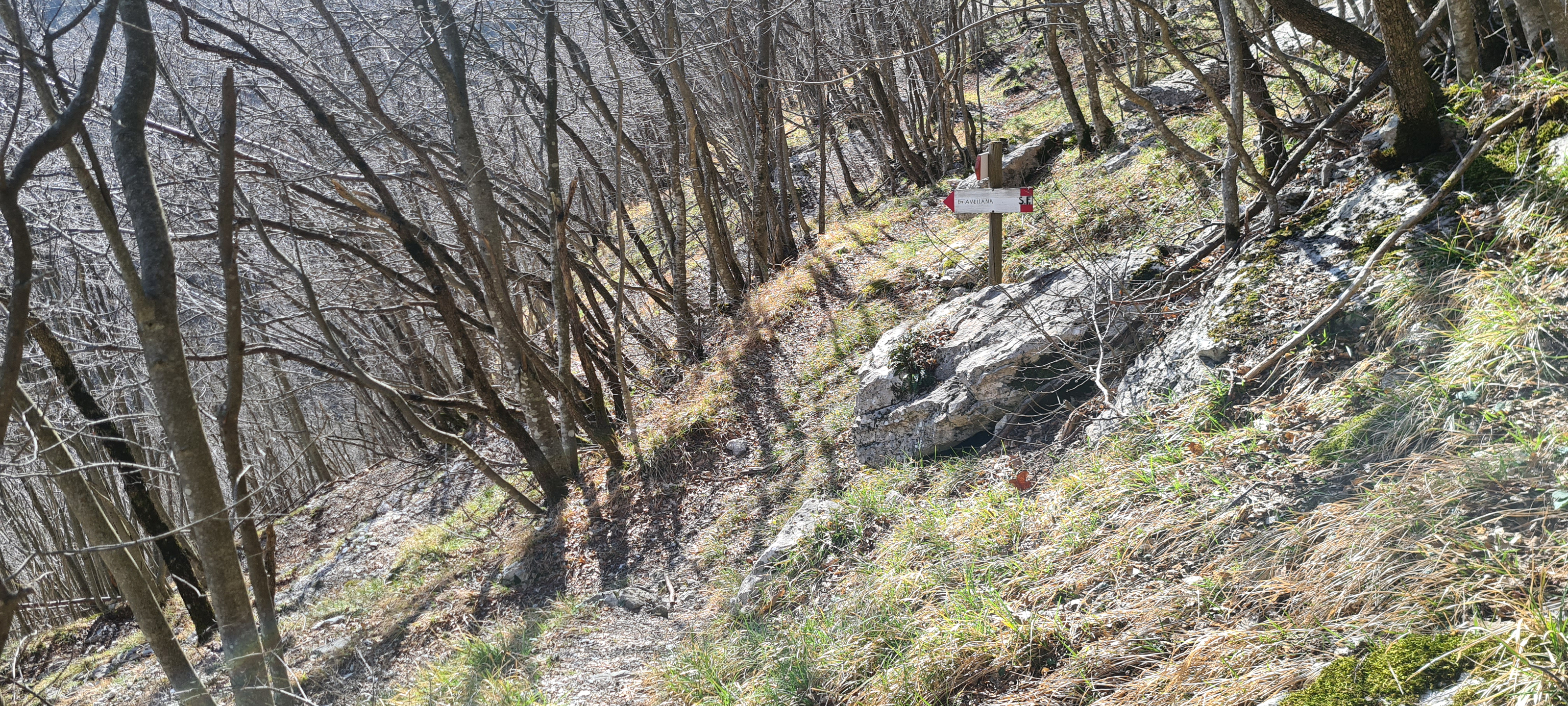 Monte Catria Sentiero Frassati - immagine 10