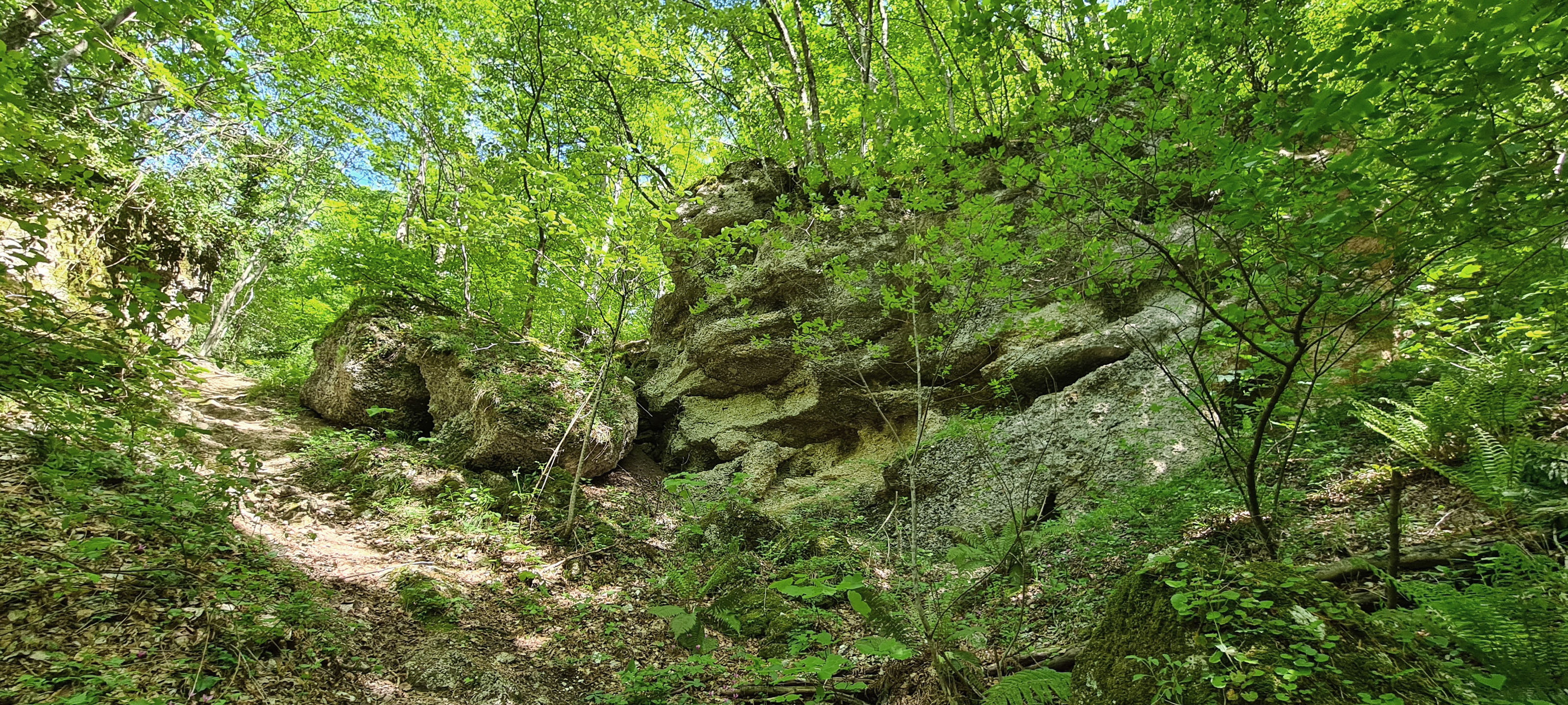 Monte Catria Sentiero Frassati - immagine 12