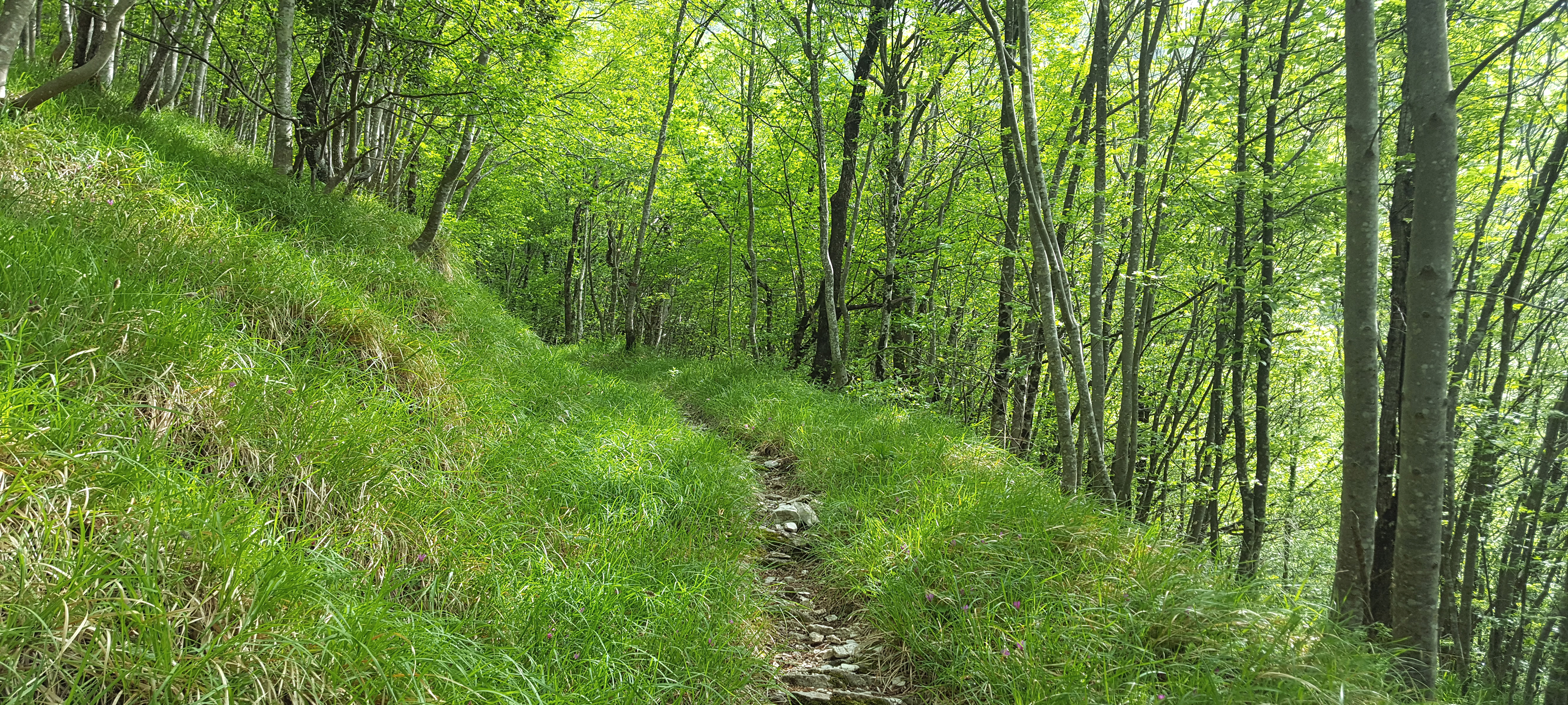 Monte Catria Sentiero Frassati - immagine 13