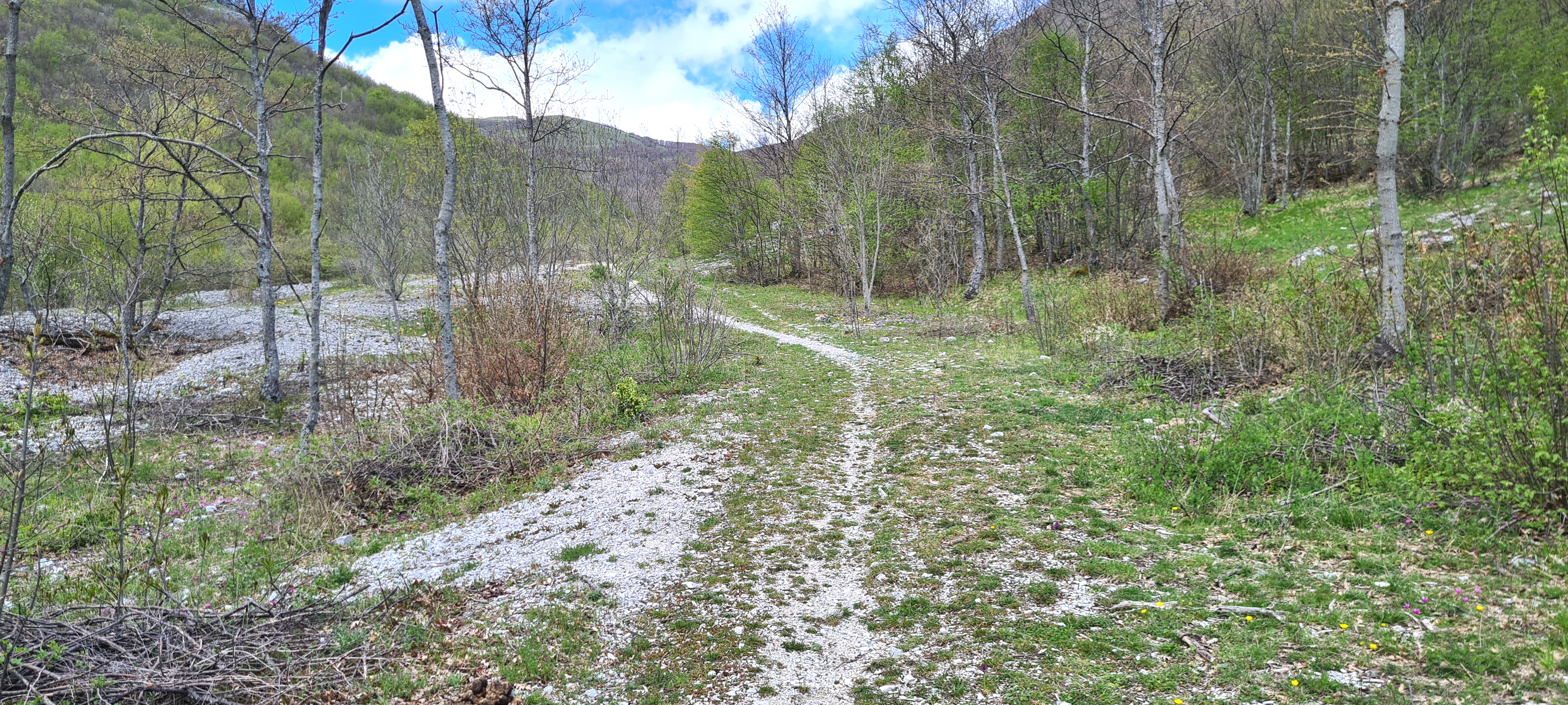 Monte Nerone Sentiero Italia - immagine 3