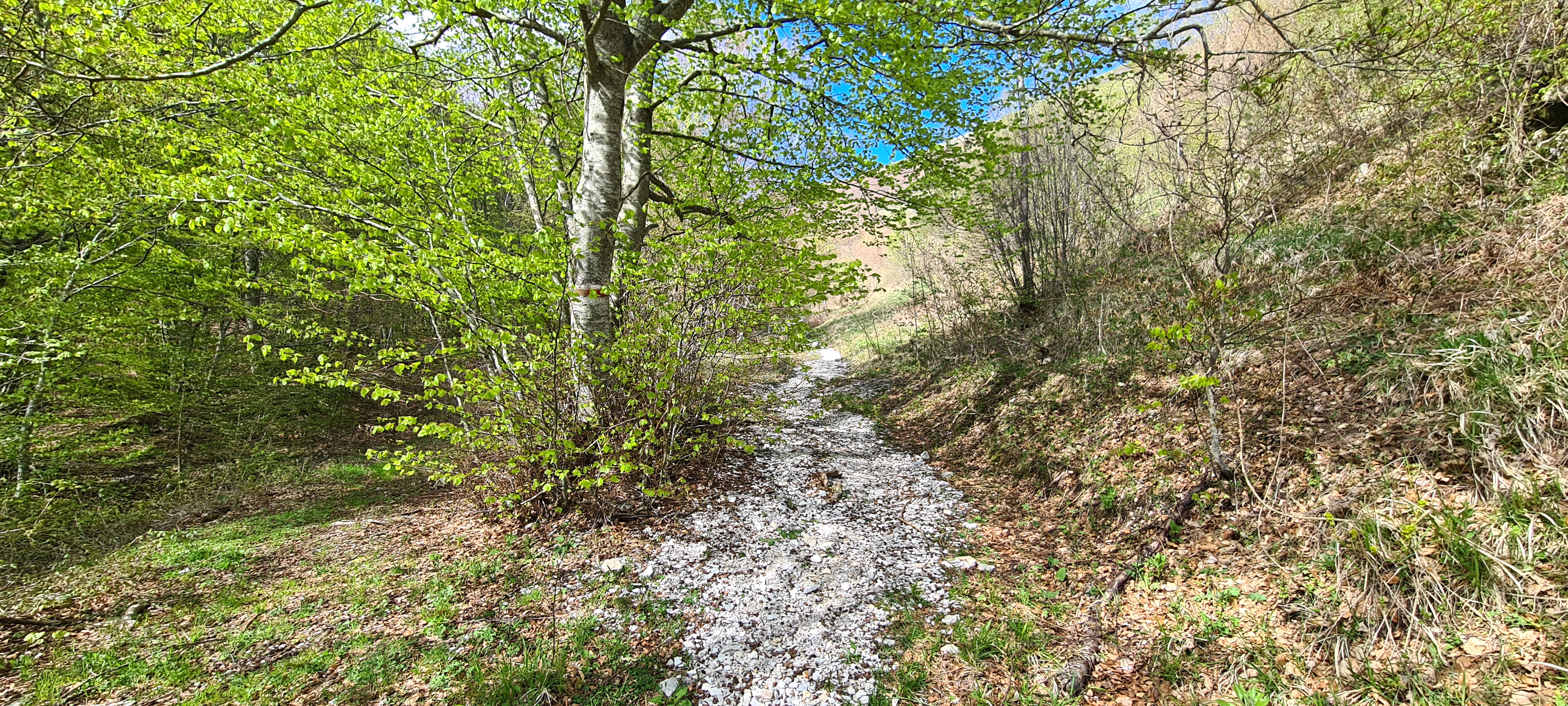 Monte Nerone Sentiero Italia - immagine 4