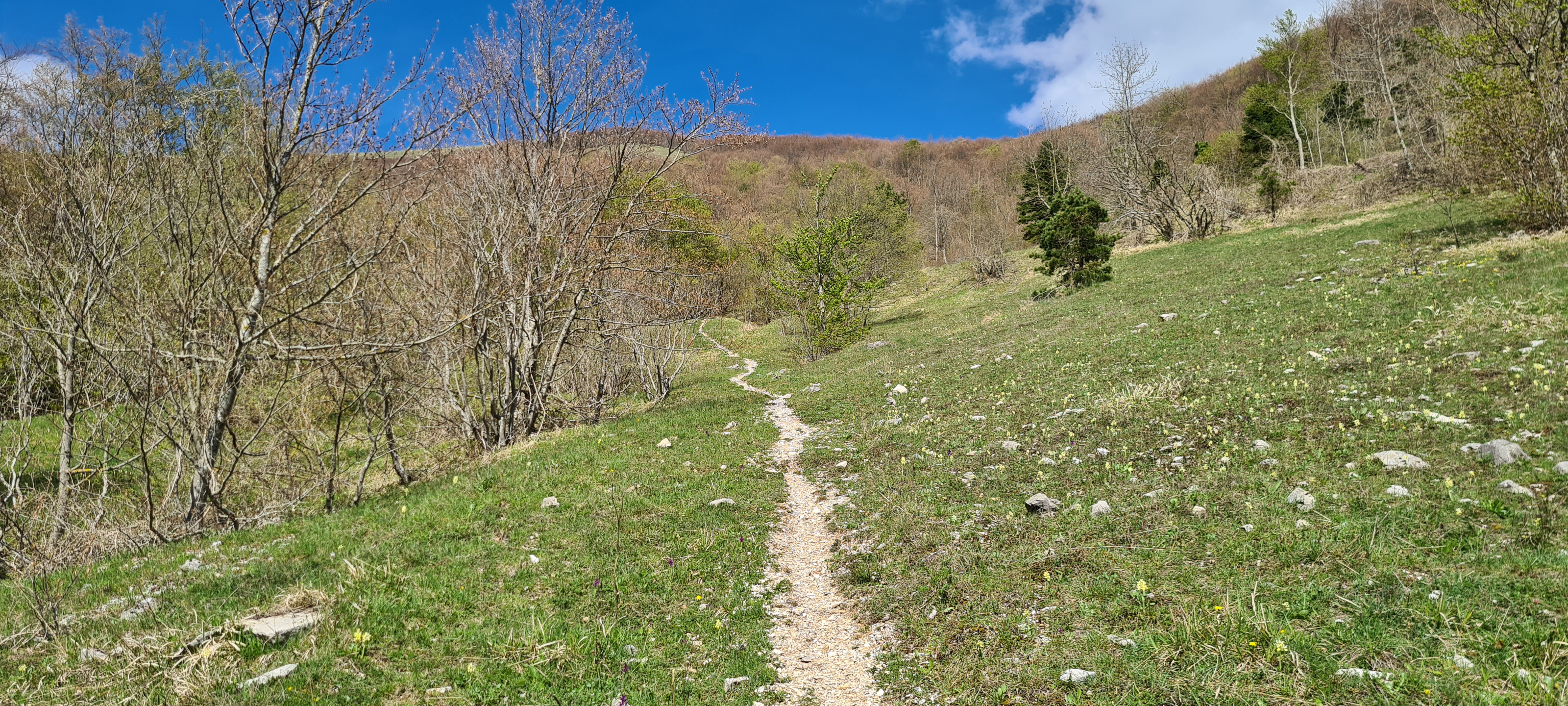 Monte Nerone Sentiero Italia - immagine 5