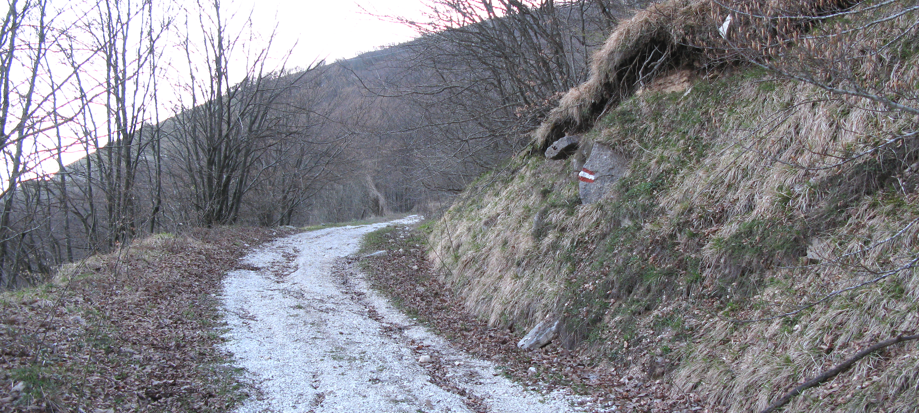 Monte Nerone Sentiero Italia - immagine 6
