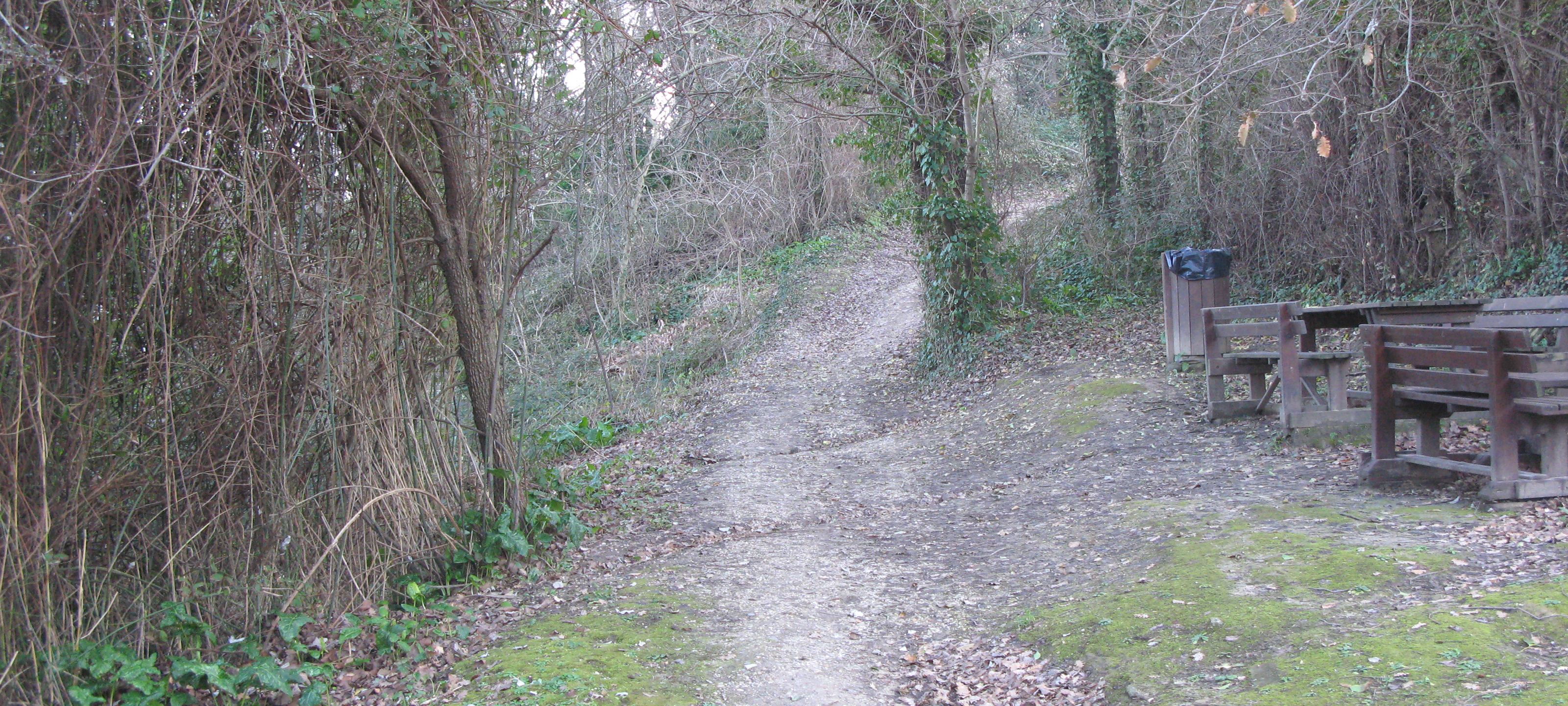 Parco Monte San Bartolo Sentiero Natura - immagine 2