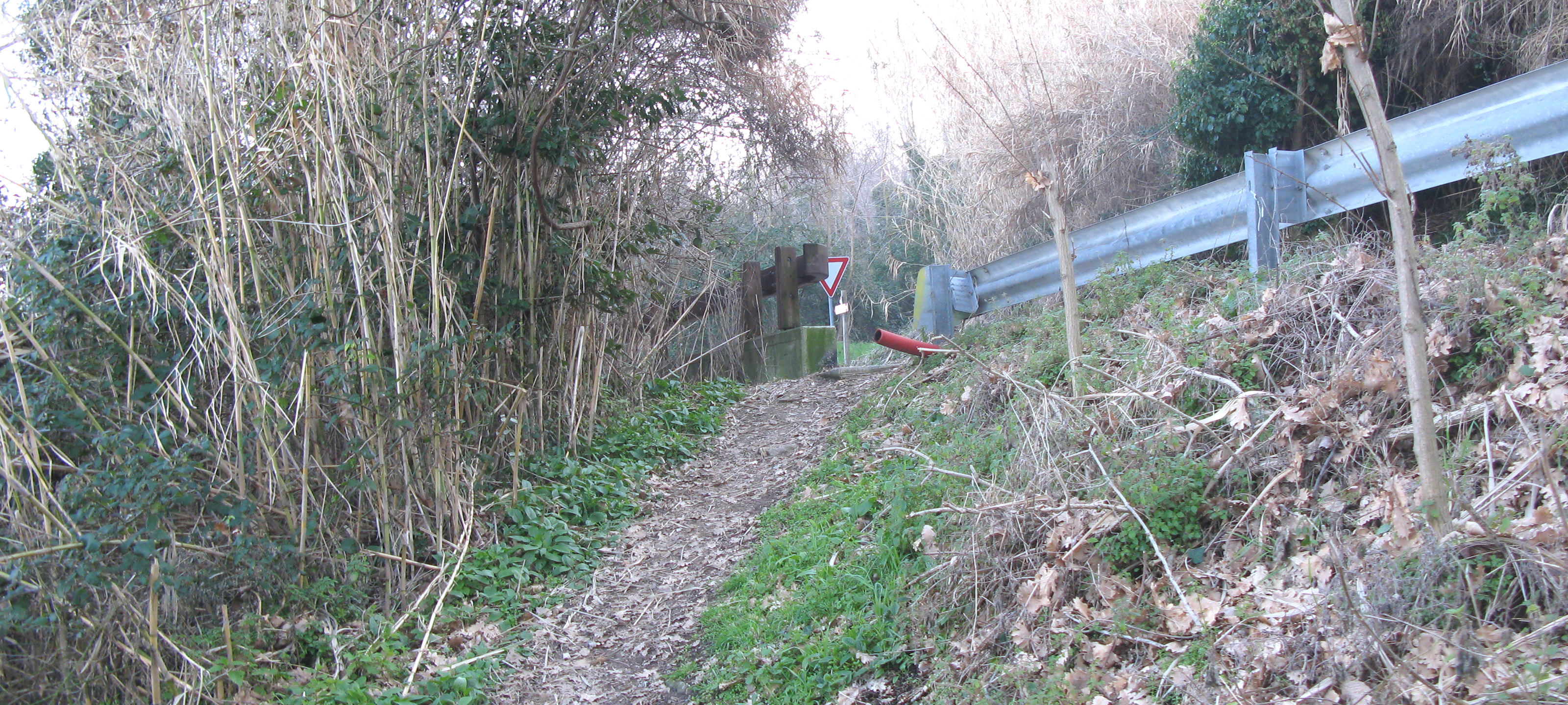 Parco Monte San Bartolo Sentiero Natura - immagine 5