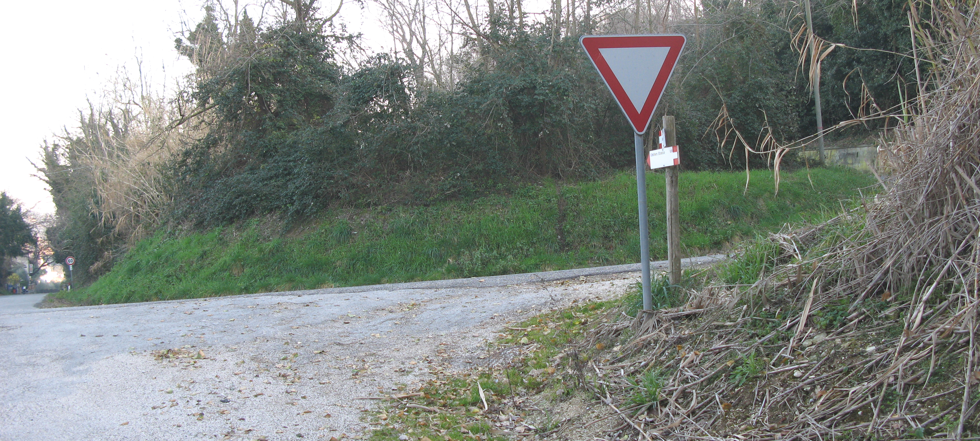 Parco Monte San Bartolo Sentiero Natura - immagine 6