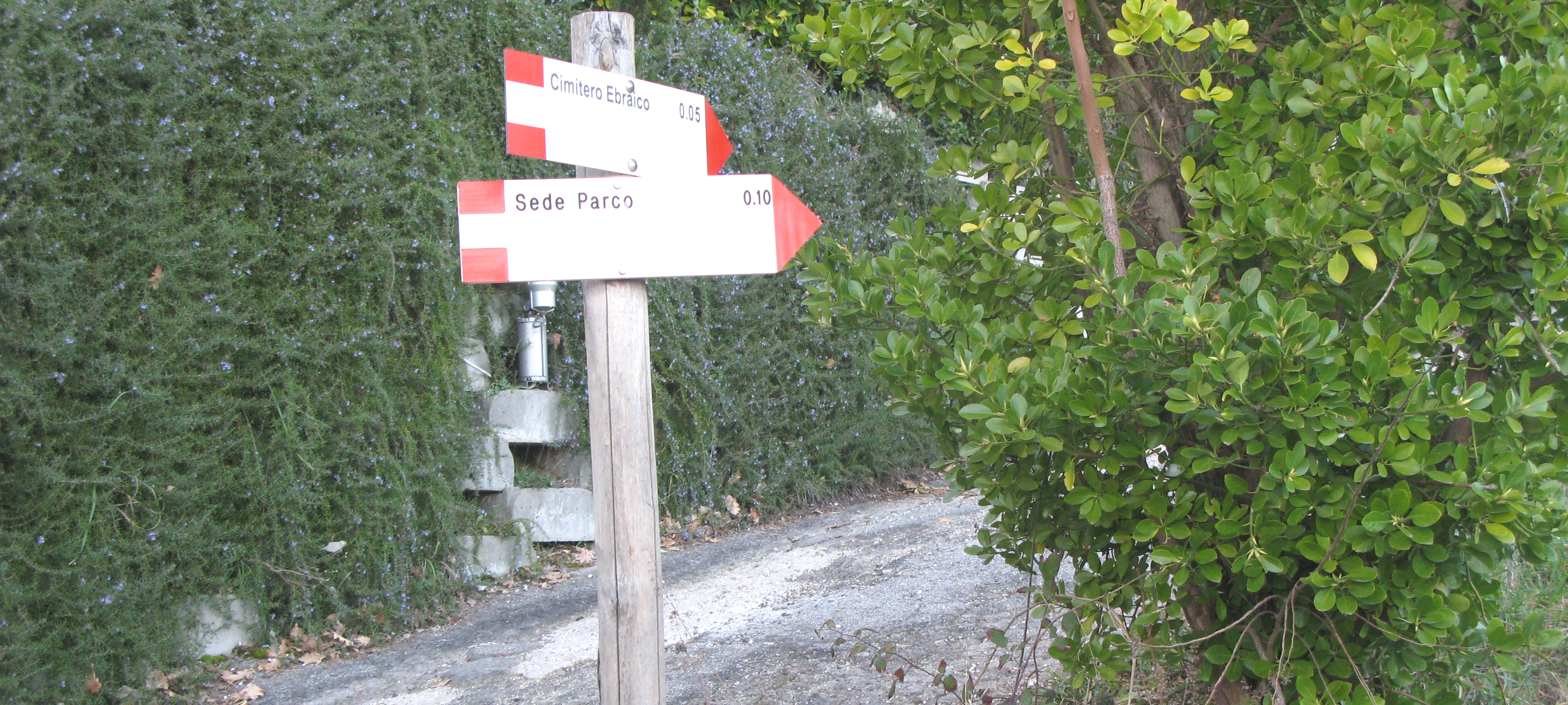 Parco Monte San Bartolo Sentiero Natura - immagine 7