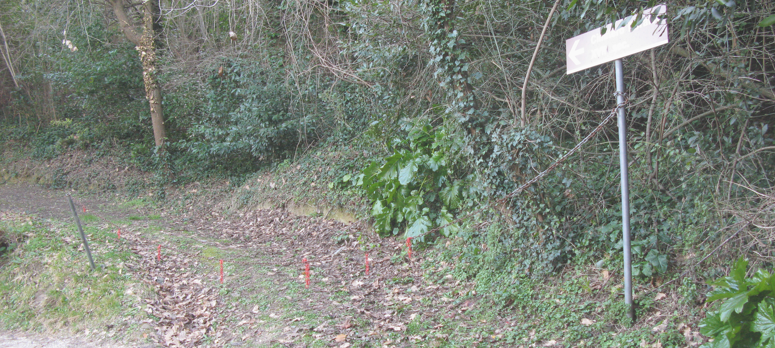 Parco Monte San Bartolo Sentiero Natura - immagine 8