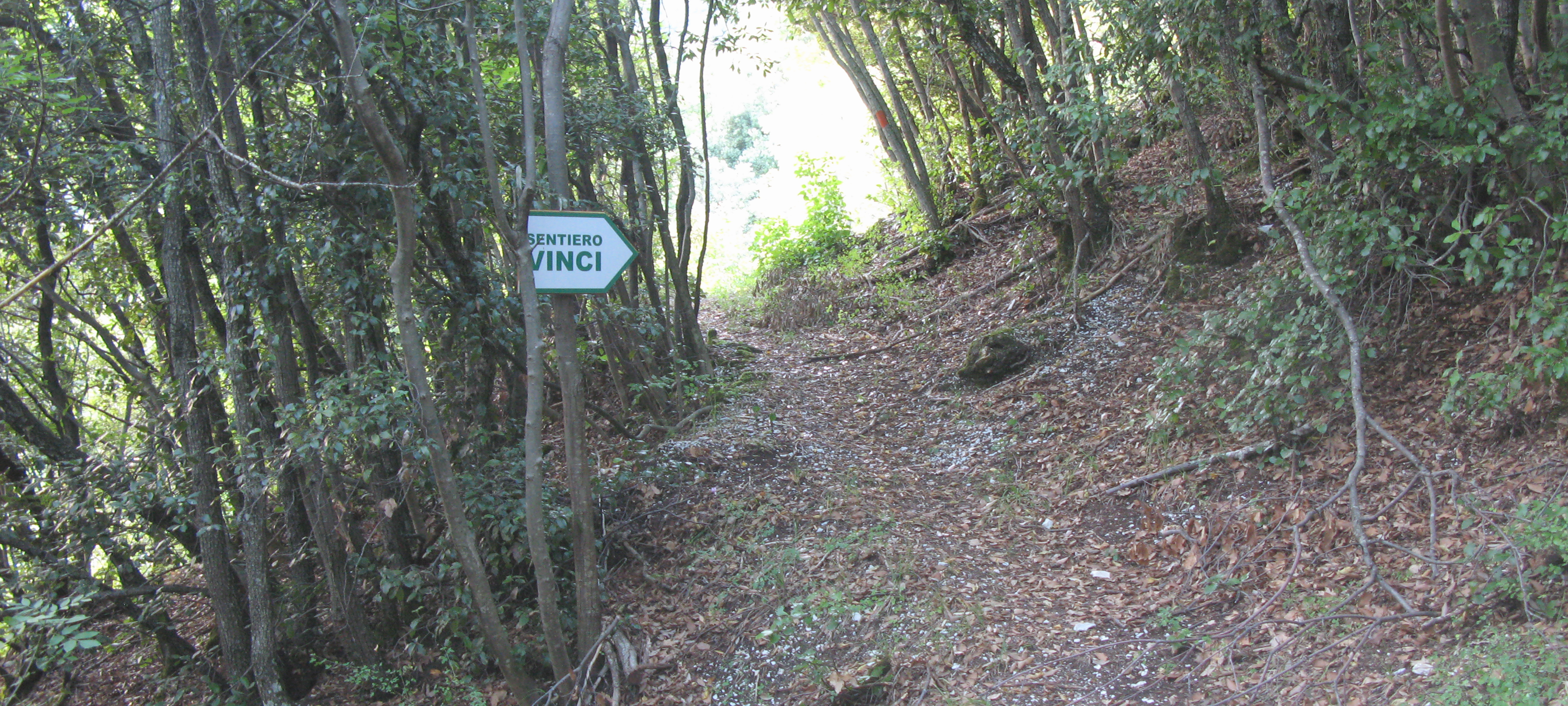 Monte Catria Sentiero Vinci - immagine 6
