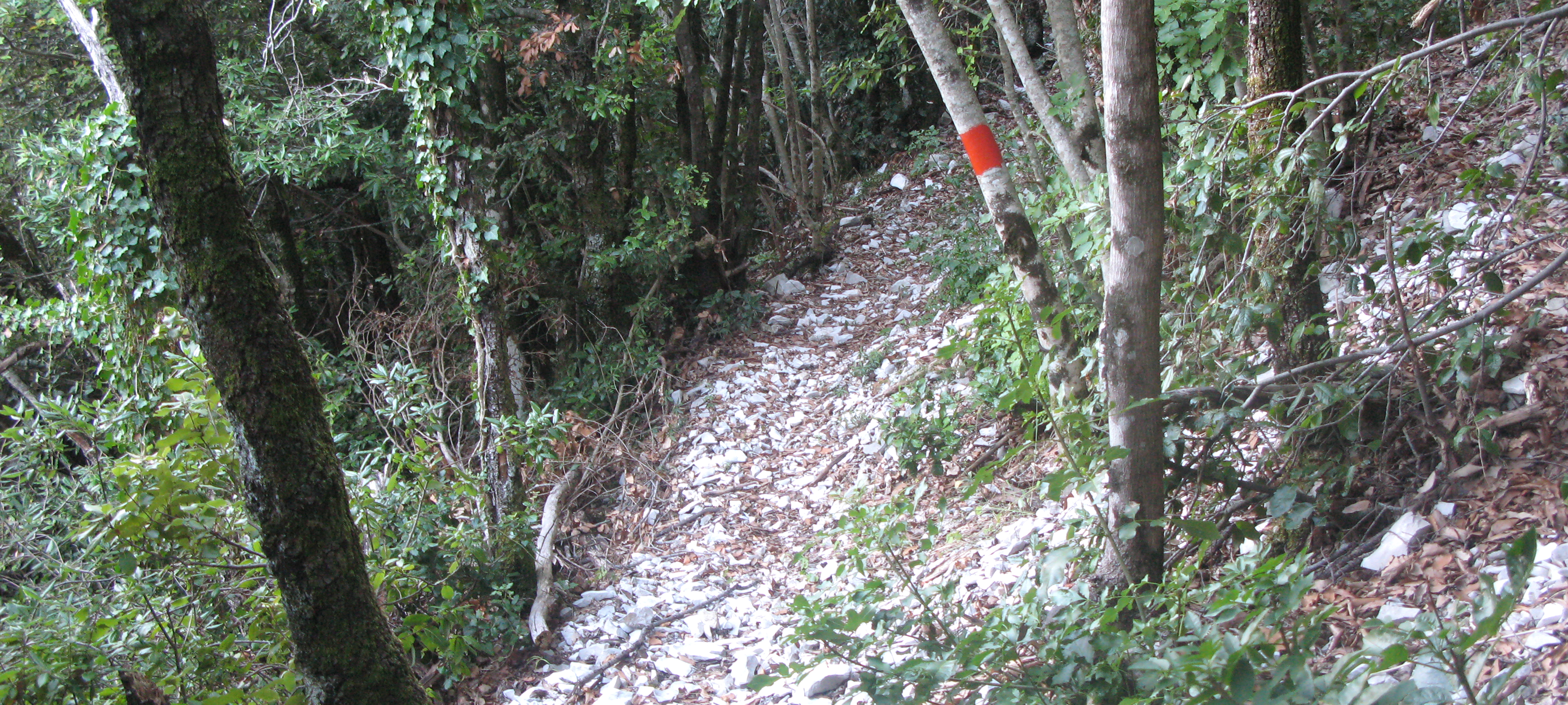 Monte Catria Sentiero Vinci - immagine 8