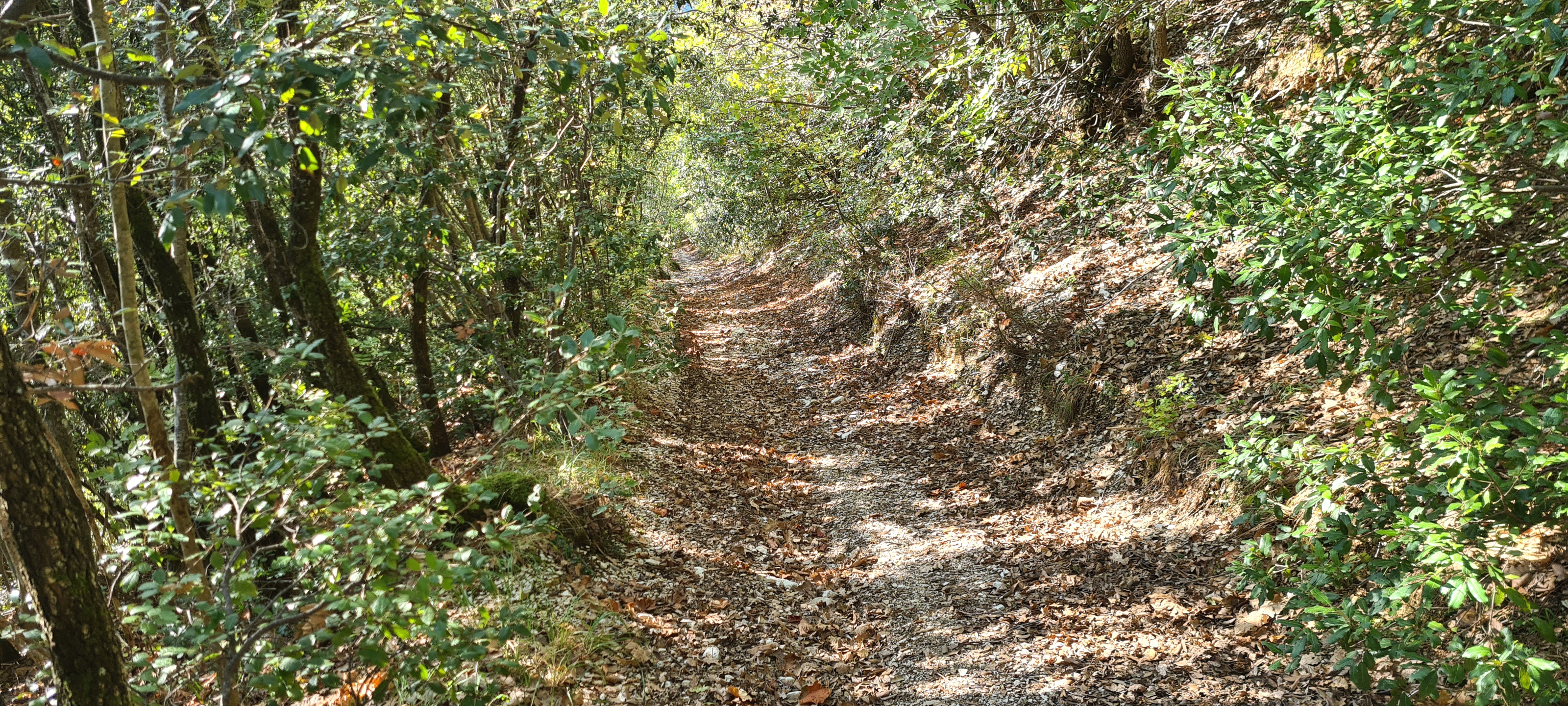 Monte Catria Sentiero Vinci - immagine 10