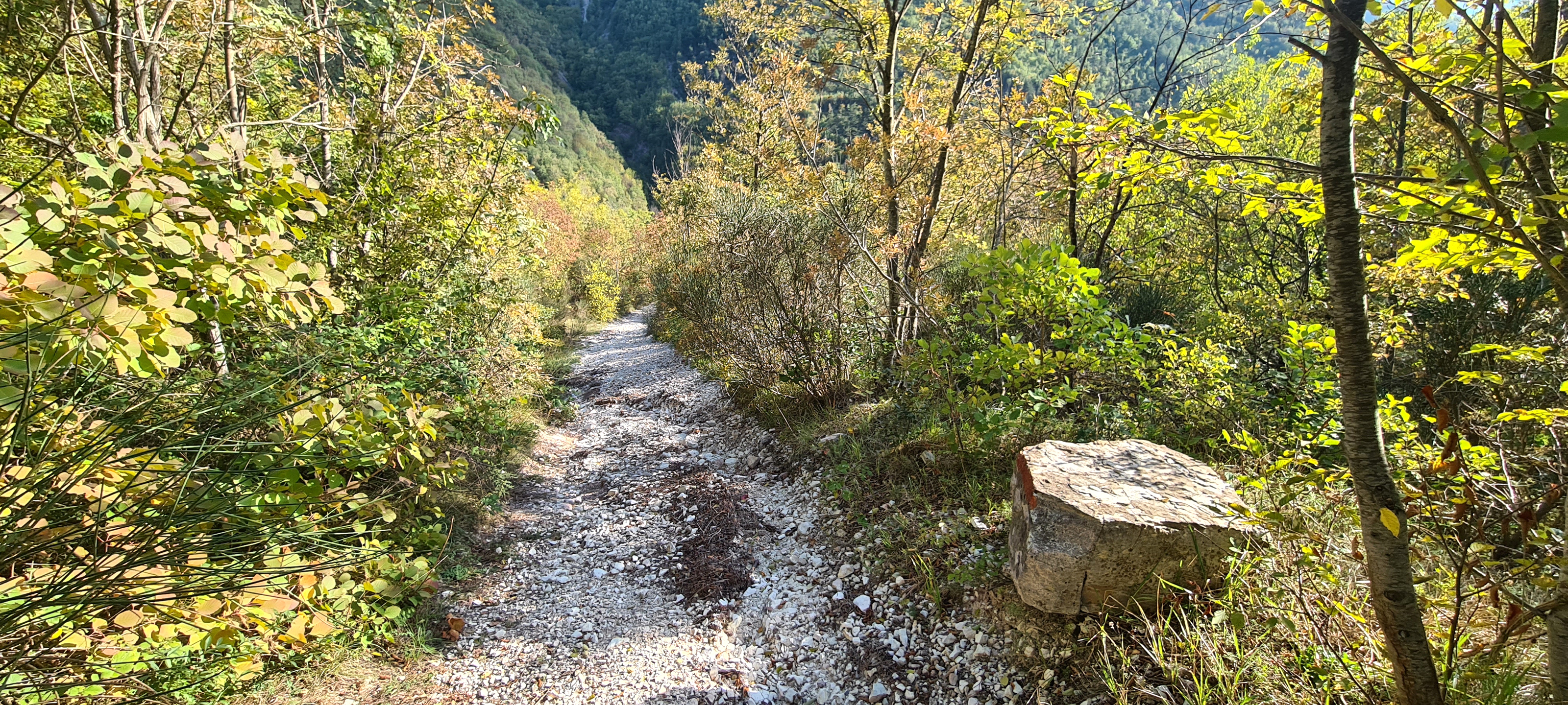Monte Catria Sentiero Vinci - immagine 12